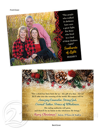 yastrebov christmas card 2020