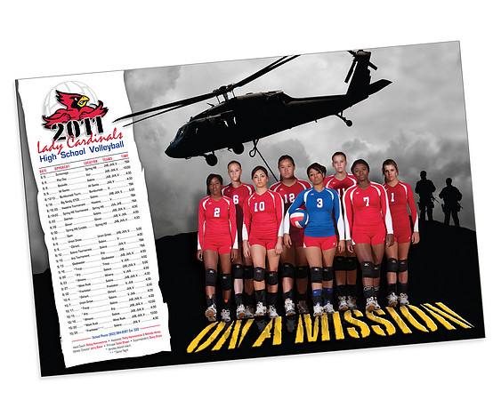 sabine cardinal poster 2011