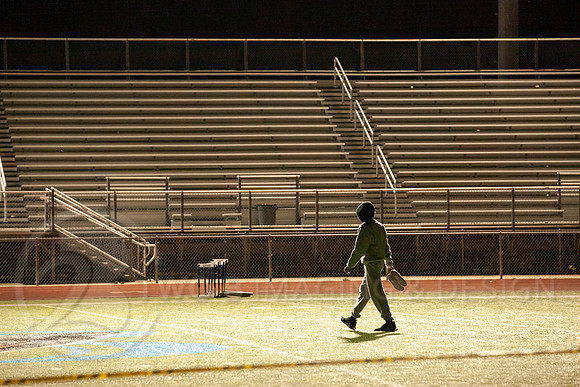 _MG_3104